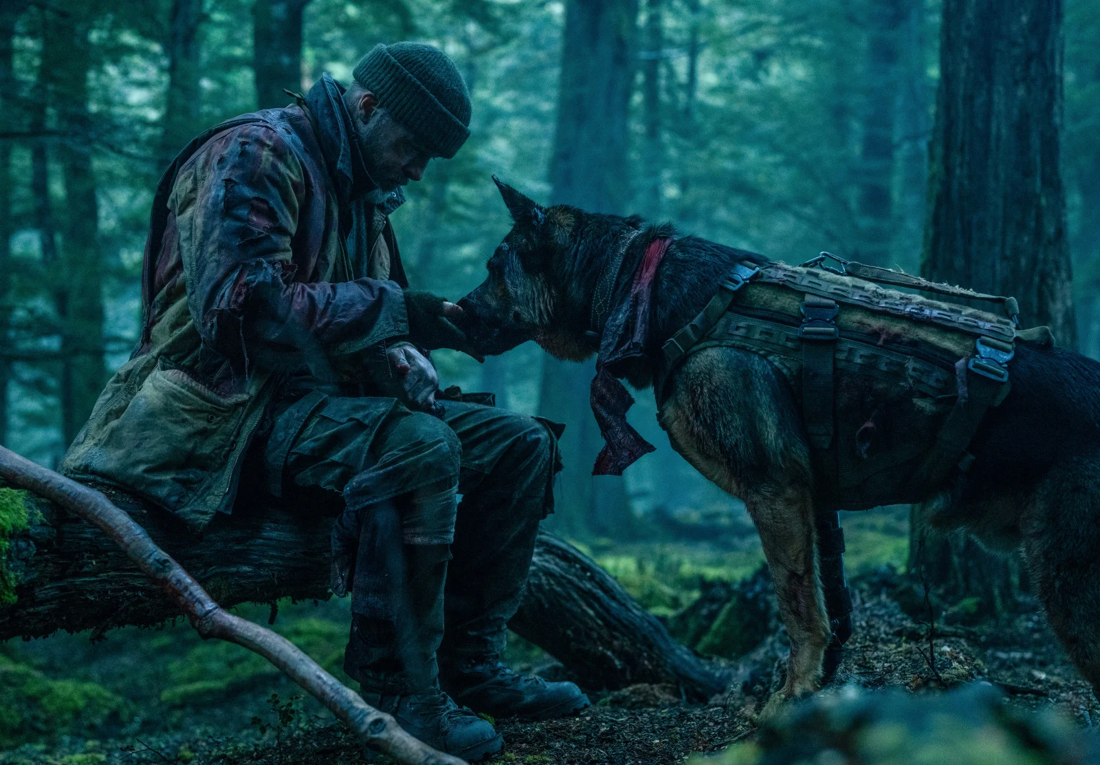 A vadon szíve, Heart of the Beast, Brad Pitt